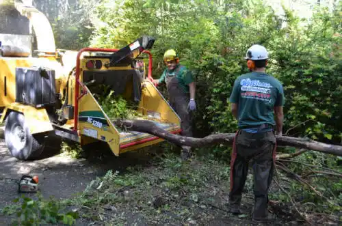 tree services Covelo